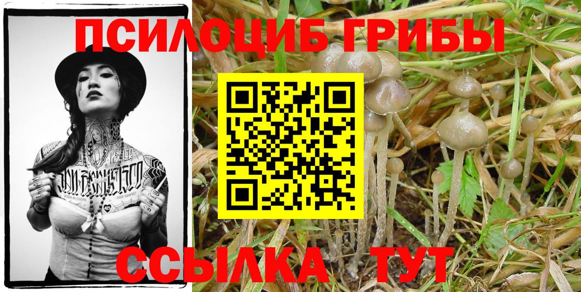Галлюциногенные грибы Psilocybe  Вход с VPN  купить закладку  Псилоцибиновые грибы Psilocybine cubensis  Нижнеудинск 